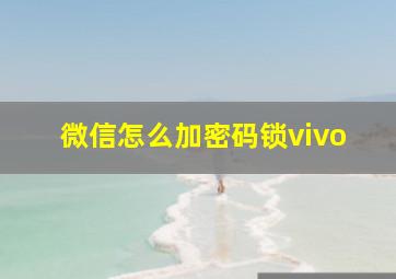 微信怎么加密码锁vivo