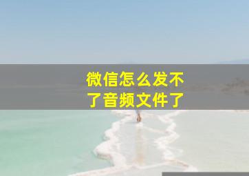 微信怎么发不了音频文件了