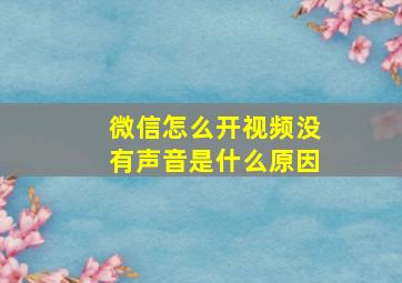 微信怎么开视频没有声音是什么原因