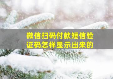 微信扫码付款短信验证码怎样显示出来的