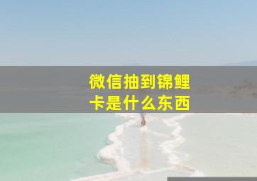 微信抽到锦鲤卡是什么东西