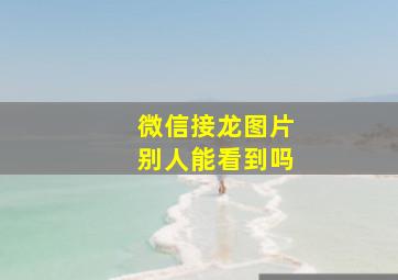 微信接龙图片别人能看到吗