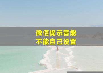 微信提示音能不能自己设置