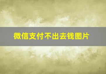 微信支付不出去钱图片