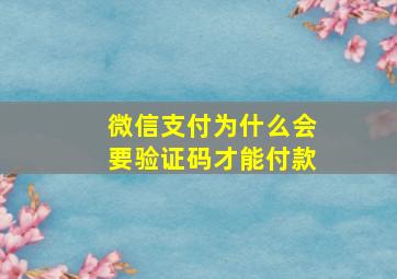 微信支付为什么会要验证码才能付款