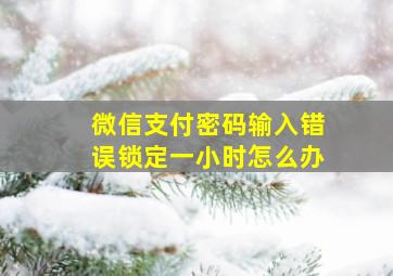 微信支付密码输入错误锁定一小时怎么办