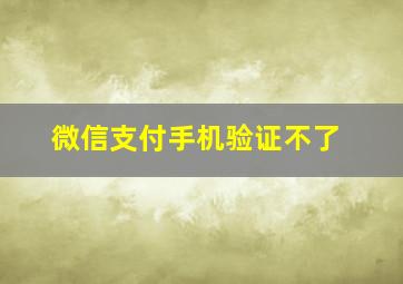 微信支付手机验证不了