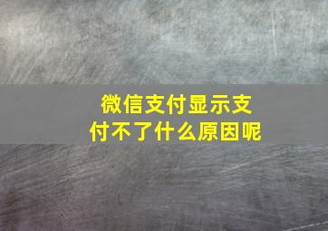 微信支付显示支付不了什么原因呢