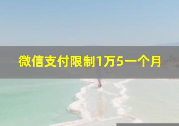 微信支付限制1万5一个月