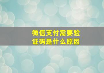 微信支付需要验证码是什么原因