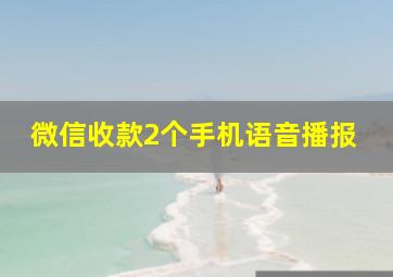 微信收款2个手机语音播报