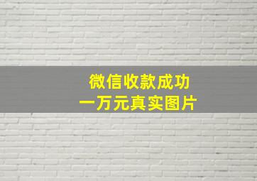 微信收款成功一万元真实图片