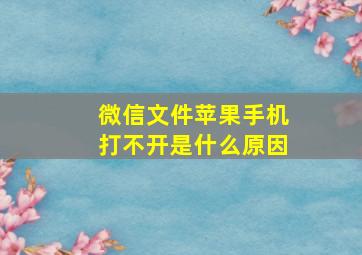 微信文件苹果手机打不开是什么原因