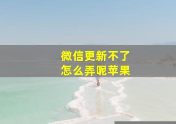 微信更新不了怎么弄呢苹果