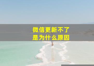 微信更新不了是为什么原因