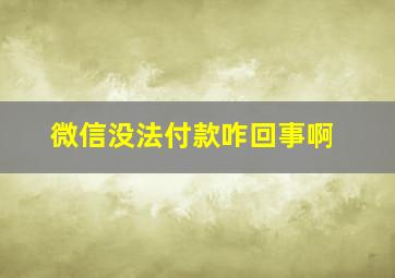 微信没法付款咋回事啊