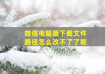 微信电脑版下载文件路径怎么改不了了呢