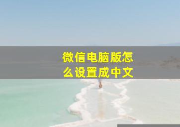 微信电脑版怎么设置成中文