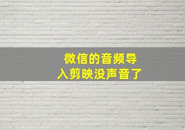 微信的音频导入剪映没声音了