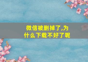 微信被删掉了,为什么下载不好了呢