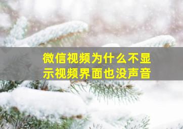 微信视频为什么不显示视频界面也没声音