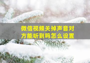 微信视频关掉声音对方能听到吗怎么设置