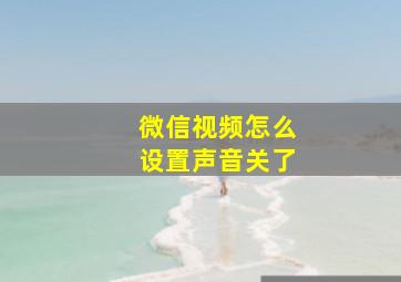 微信视频怎么设置声音关了