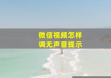 微信视频怎样调无声音提示