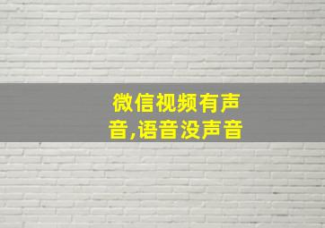 微信视频有声音,语音没声音