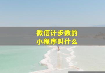 微信计步数的小程序叫什么