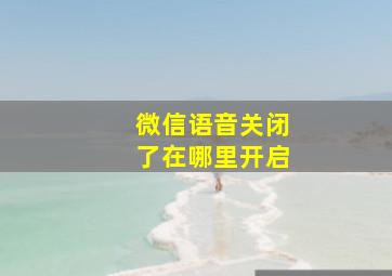 微信语音关闭了在哪里开启