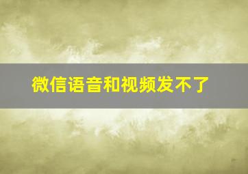 微信语音和视频发不了