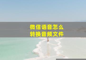 微信语音怎么转换音频文件