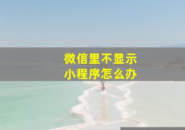 微信里不显示小程序怎么办