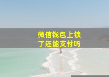 微信钱包上锁了还能支付吗