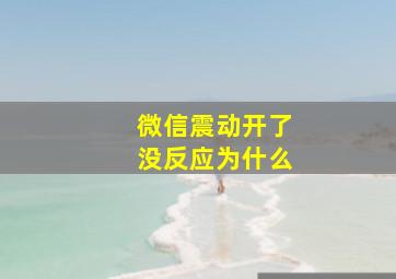 微信震动开了没反应为什么