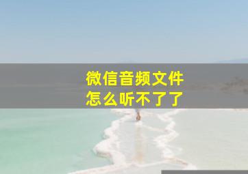 微信音频文件怎么听不了了