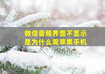 微信音频界面不显示是为什么呢苹果手机