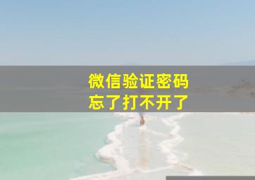 微信验证密码忘了打不开了