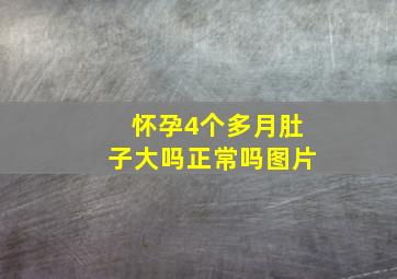 怀孕4个多月肚子大吗正常吗图片