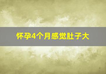 怀孕4个月感觉肚子大