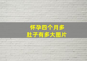 怀孕四个月多肚子有多大图片