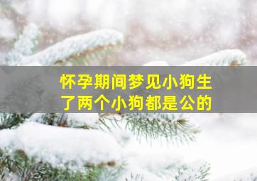 怀孕期间梦见小狗生了两个小狗都是公的