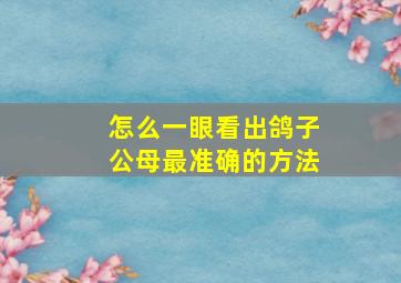 怎么一眼看出鸽子公母最准确的方法