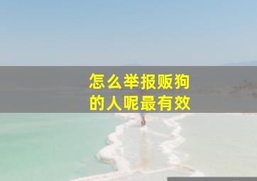 怎么举报贩狗的人呢最有效