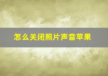 怎么关闭照片声音苹果