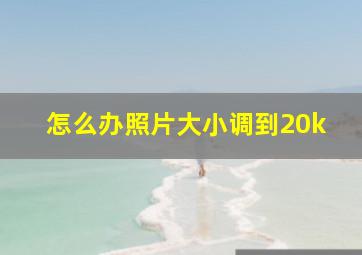 怎么办照片大小调到20k