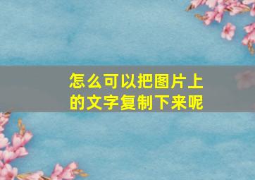 怎么可以把图片上的文字复制下来呢