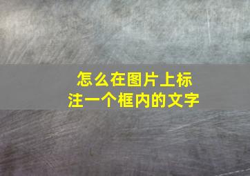 怎么在图片上标注一个框内的文字