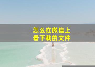 怎么在微信上看下载的文件